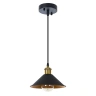 Подвесной светильник Arte Lamp CAPPELLO A7037SP-1BK