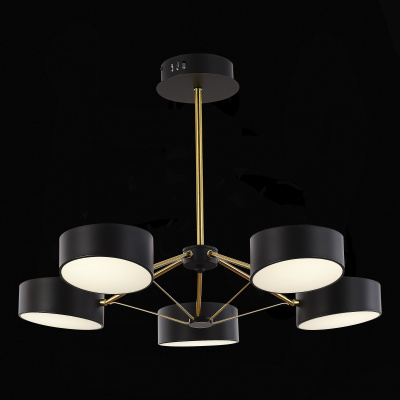 Потолочный светильник evoluce VALLE SLE6005-402-05