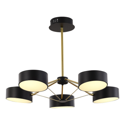 Потолочный светильник evoluce VALLE SLE6005-402-05