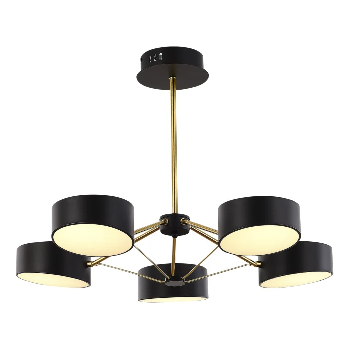 Потолочный светильник evoluce VALLE SLE6005-402-05