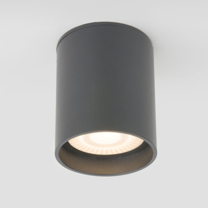 Уличный потолочный светильник Elektrostandard Light led 4690389177002