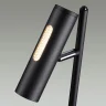Напольный светильник Odeon Light Mali 6643/5FL