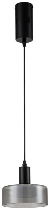 Светильник подвесной Stilfort 4009/02/01P Gloze