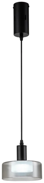 Светильник подвесной Stilfort 4009/02/01P Gloze