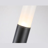 Уличный светильник Ambrella light ST2459