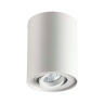Потолочный накладной светильник Odeon Light Pillaron 3564/1C