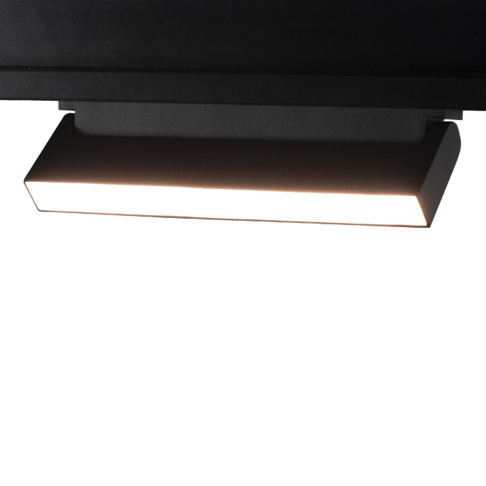 Трековый светильник LOFT IT T107-12