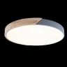 Светильник потолочный Loft it Axel 10004/36 Grey