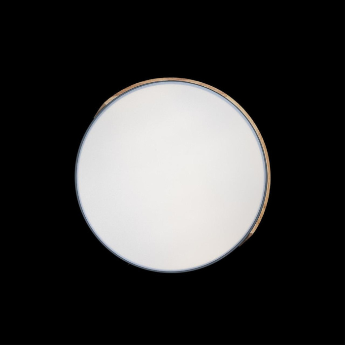 Светильник потолочный Loft it Axel 10004/36 Grey