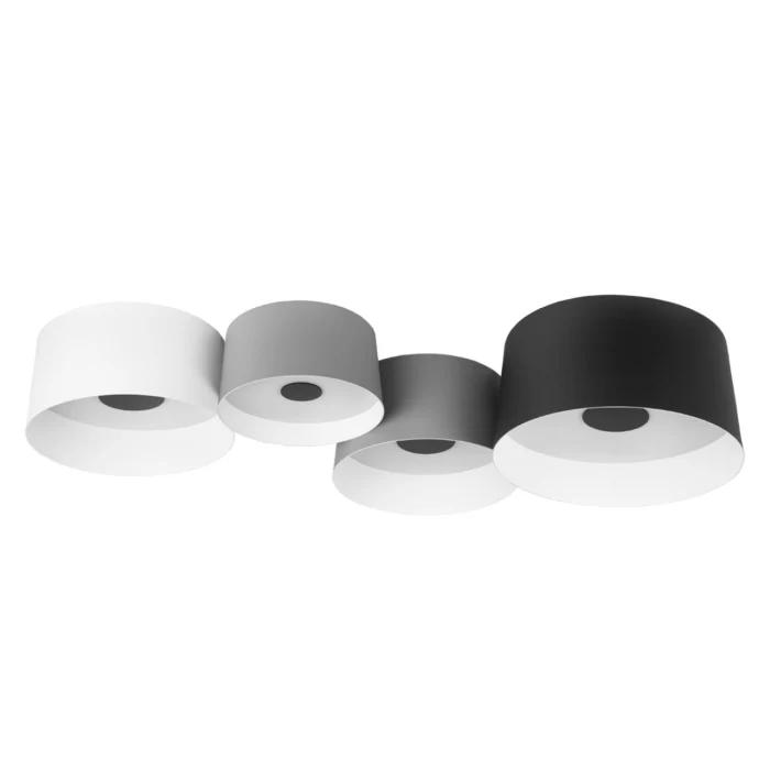 Потолочный светильник Loft it Duo 10360/4