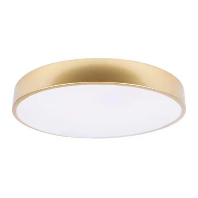 Потолочный светильник Loft it Flims 10228/A