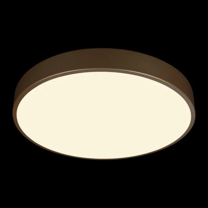 Потолочный светильник Loft it Flims 10228/A