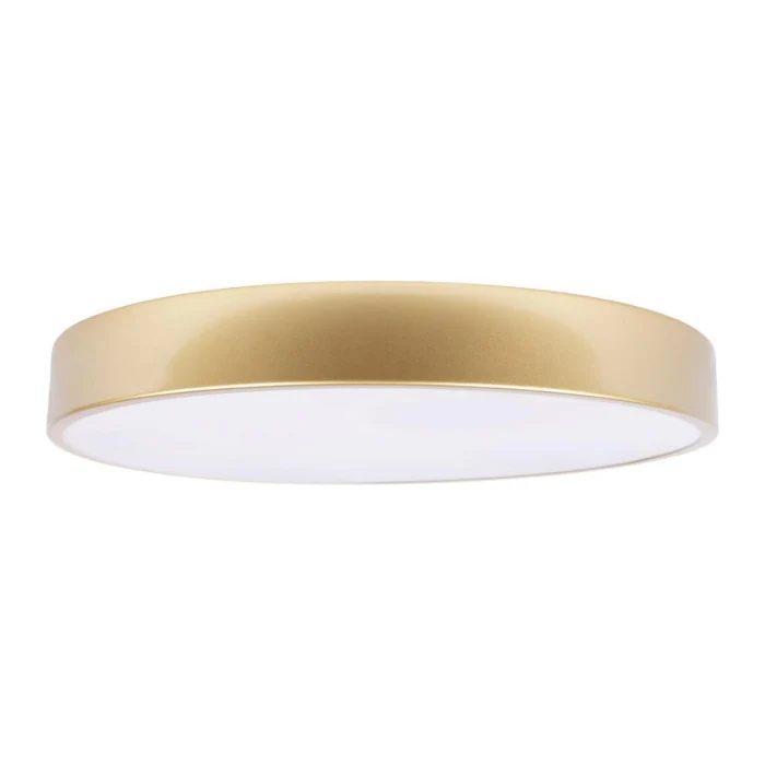 Потолочный светильник Loft it Flims 10228/A
