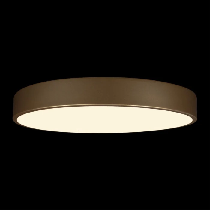 Потолочный светильник Loft it Flims 10228/A