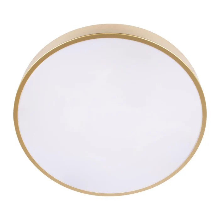 Потолочный светильник Loft it Flims 10228/A