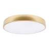 Потолочный светильник Loft it Flims 10228/A