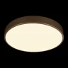 Потолочный светильник Loft it Flims 10228/A