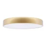 Потолочный светильник Loft it Flims 10228/A