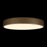 Потолочный светильник Loft it Flims 10228/A