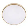 Потолочный светильник Loft it Flims 10228/A