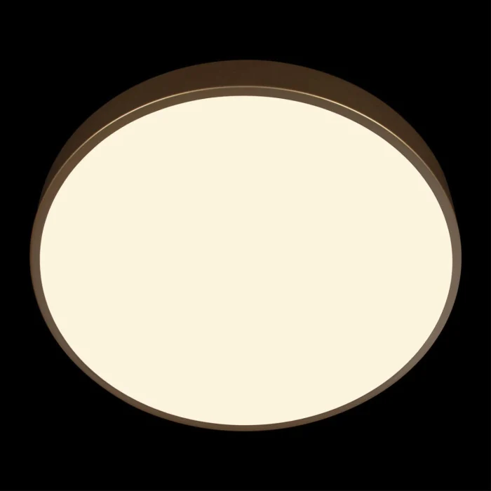 Потолочный светильник Loft it Flims 10228/A