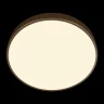 Потолочный светильник Loft it Flims 10228/A