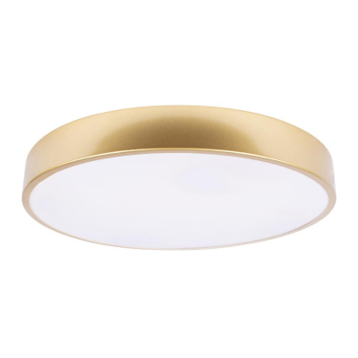 Потолочный светильник Loft it Flims 10228/A