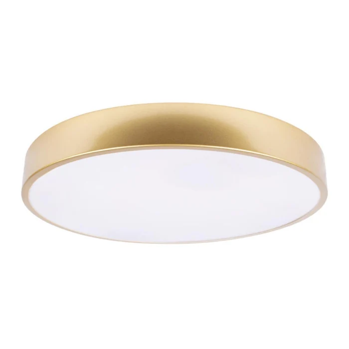 Потолочный светильник Loft it Flims 10228/A