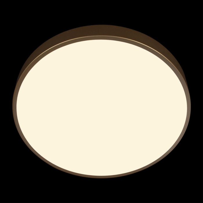 Потолочный светильник Loft it Flims 10228/A