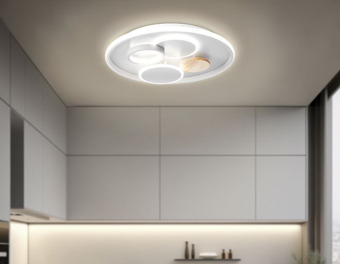 Настенно-потолочный светодиодный светильник с пультом Ambrella light FL4803