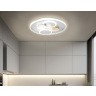Настенно-потолочный светодиодный светильник с пультом Ambrella light FL4803