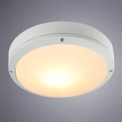 Уличный потолочный светильник Arte Lamp CITY A8154PF-2WH