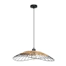 Подвесной светильник Arte Lamp WOODSTOCK A7061SP-1BK