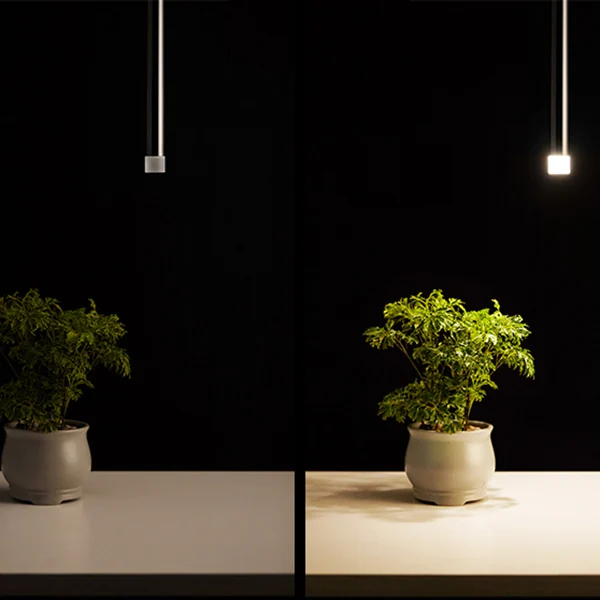 Комбинация подвесных светильников LAIRD MORE D60 ImperiumLoft