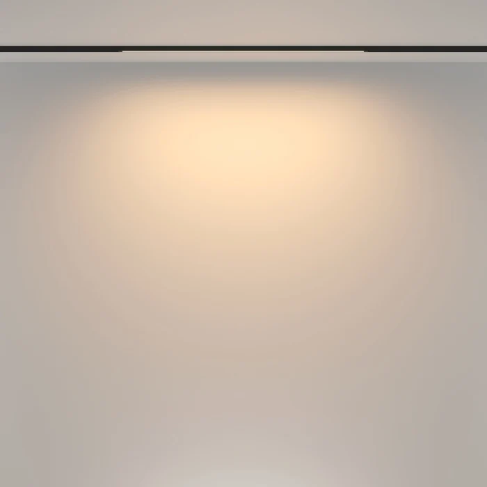 Трековый магнитный светильник Maytoni Basis TR173-1-16WTW-B