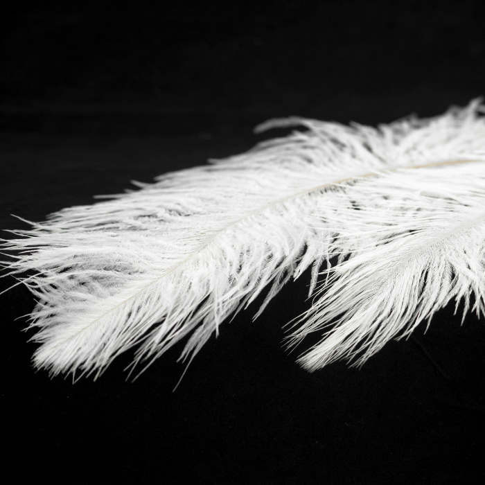 Подвесной светильник Lussole GRLSP-8600