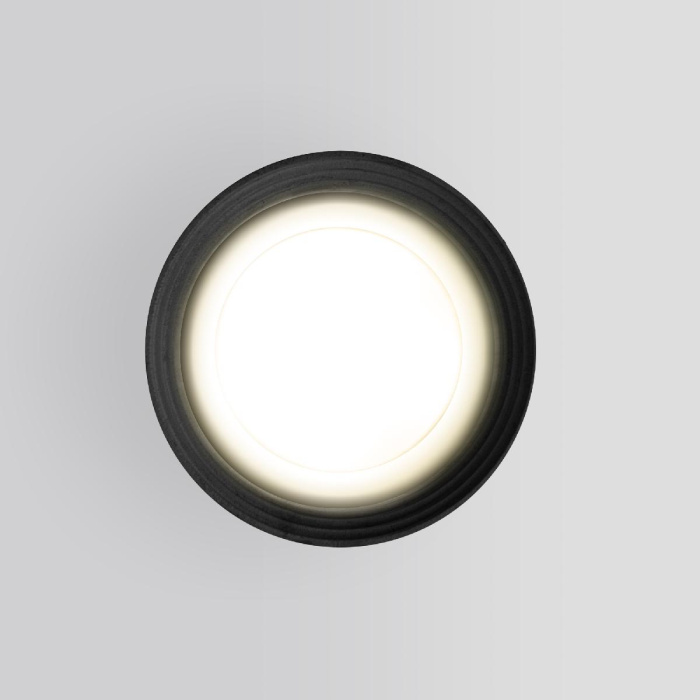 Уличный потолочный светильник Elektrostandard Light 4690389175909