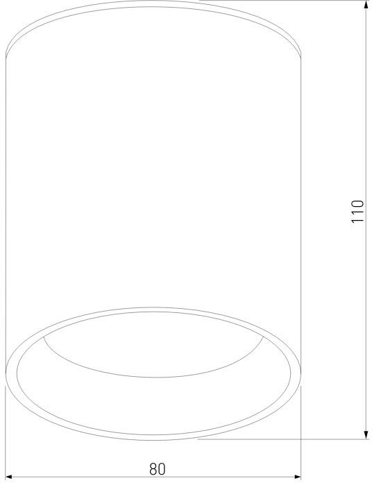 Уличный потолочный светильник Elektrostandard Light led 4690389176968