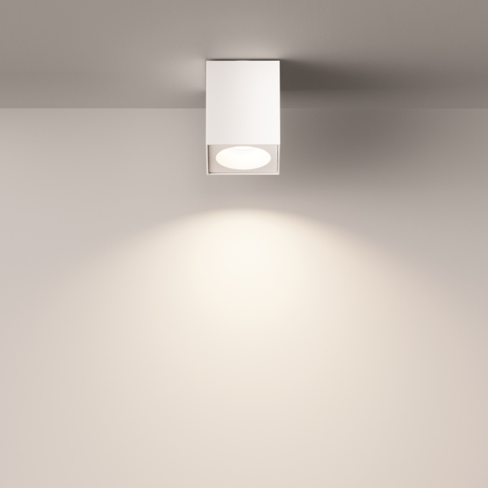 Потолочный светильник Maytoni Zoom C030CL-01W