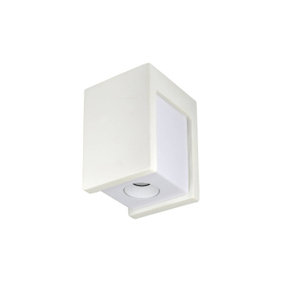Потолочный светильник Loft it Architect OL1073-WW
