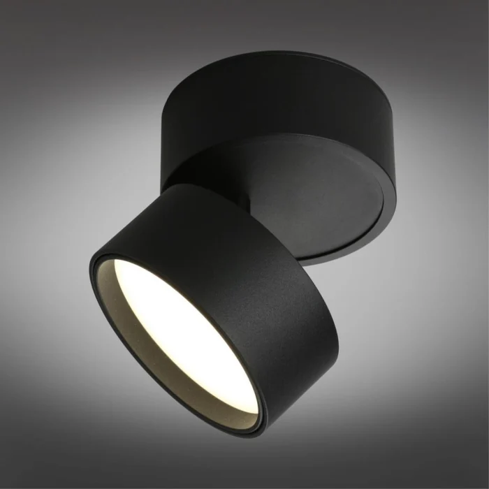 Спот Omnilux Lenno OML-101319-12