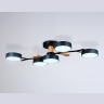 Потолочный светодиодный светильник с пультом Ambrella light FL4835