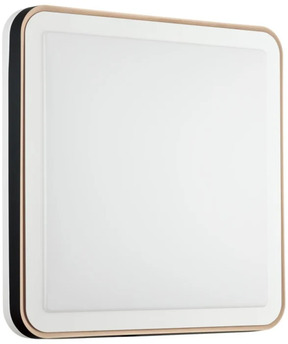 7621/DLN PALE SN 162 Светильник пластик/черн./медный LED 48Вт 3000-6000K 440х440 IP43 пульт ДУ EFFA
