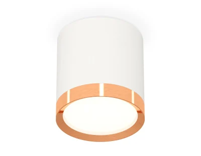 Комплект накладного светильника Ambrella light XS8141005