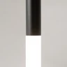 Подвесной светильник Maytoni Pro shade MOD157PL-L6BK