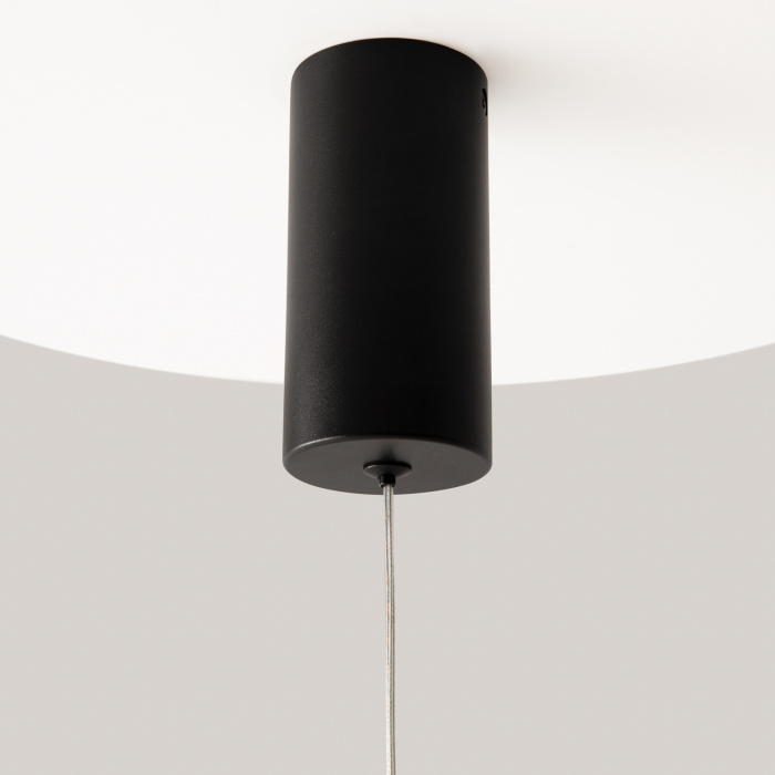 Подвесной светильник Maytoni Pro shade MOD157PL-L6BK