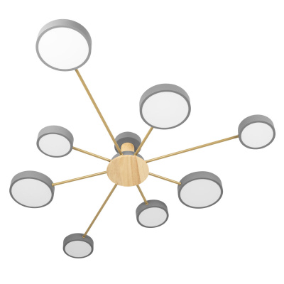 Потолочный светильник LOFT IT Sunrise 10316/8 Grey