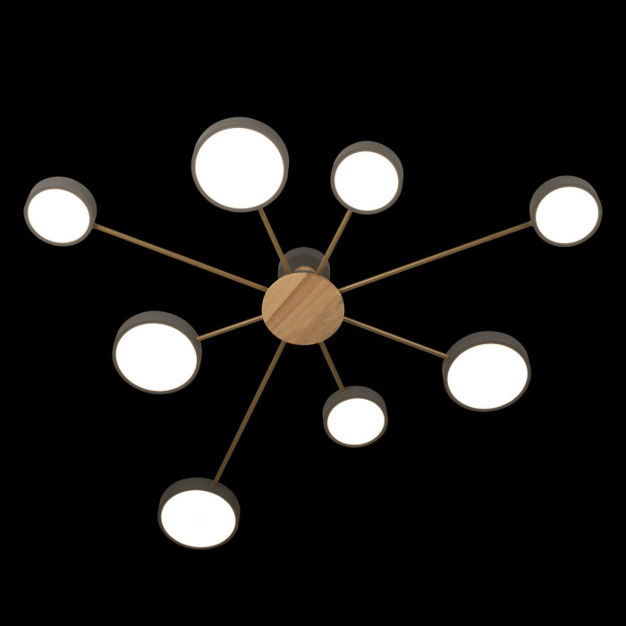 Потолочный светильник LOFT IT Sunrise 10316/8 Grey