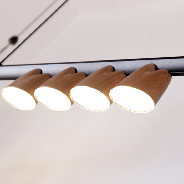 Подвесная люстра Favourite 4266-10P