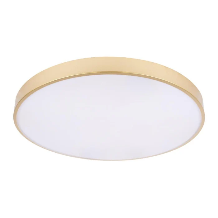 Потолочный светильник Loft it Flims 10228/B